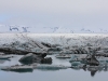 Islande_134