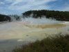 20131125_003949 (1280x960)