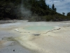 20131125_010415 (1280x960)