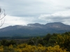 20131125_071520 (1280x960)