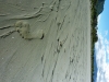 20131201_063122 (960x1280)