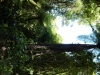 20131202_043716 (960x1280)
