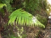 20131203_060119 (1280x960)