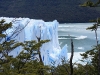 Patagonie_067